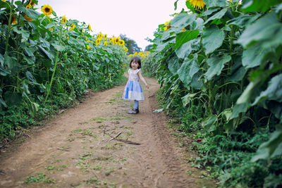 Full length of girl standing amidst plant