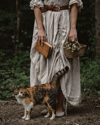 Portrait of cat sitting on field