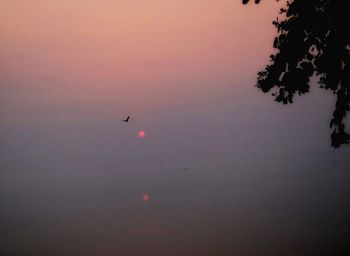 Low angle view of silhouette birds against sky during sunset