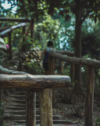 Rear view of child on tree in forest