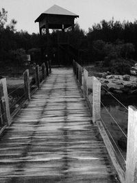 Boardwalk amidst trees against sky