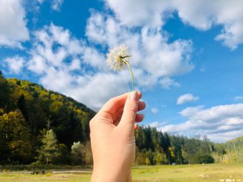 Cropped image of person holding red flowering plant against sky
