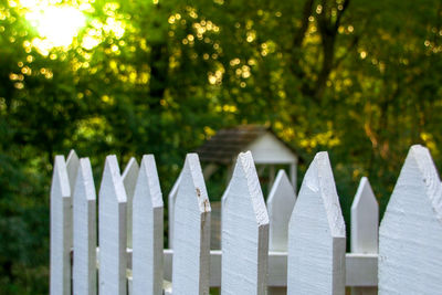 Wooden fence house, white fence on green background