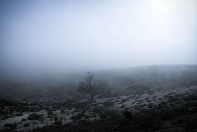 Scenic view of landscape against sky during winter