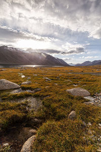 Scenic view of landscape against sky