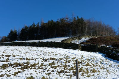 Scenic view of snow covered landscape against clear blue sky