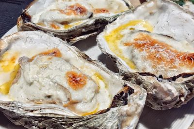 High angle view of oysters in plate