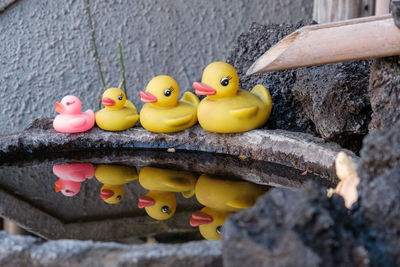 Close-up of toy ducks