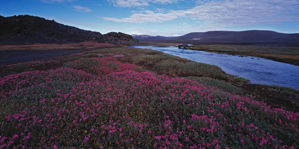 Suv crossing small river on the highland in iceland