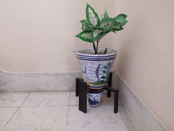 Close-up of potted plant on tiled floor against wall