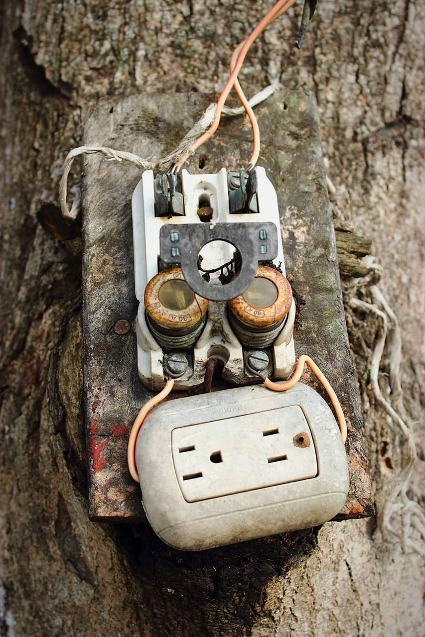 no people, metal, close-up, connection, tree trunk, technology, trunk, old, communication, day, number, obsolete, telephone, tree, electricity, outdoors, weathered, hanging, wall - building feature, power supply