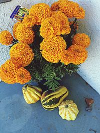 Close-up of flowers