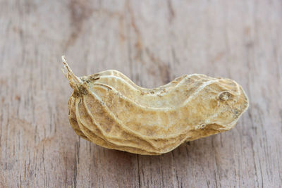 Close-up of dry leaf on wooden table