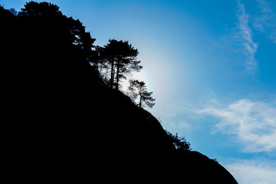 Low angle view of silhouette tree against sky