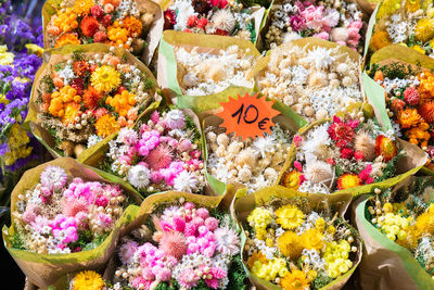 Full frame shot of potted plants