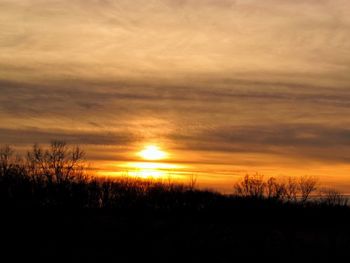 Silhouette trees against sky during sunset