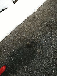 Close-up of snow on beach