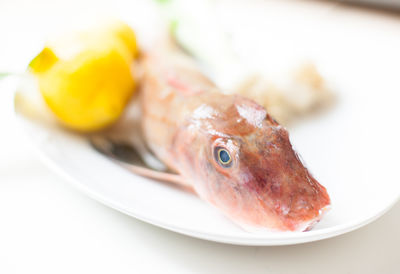 Close-up of fish in plate