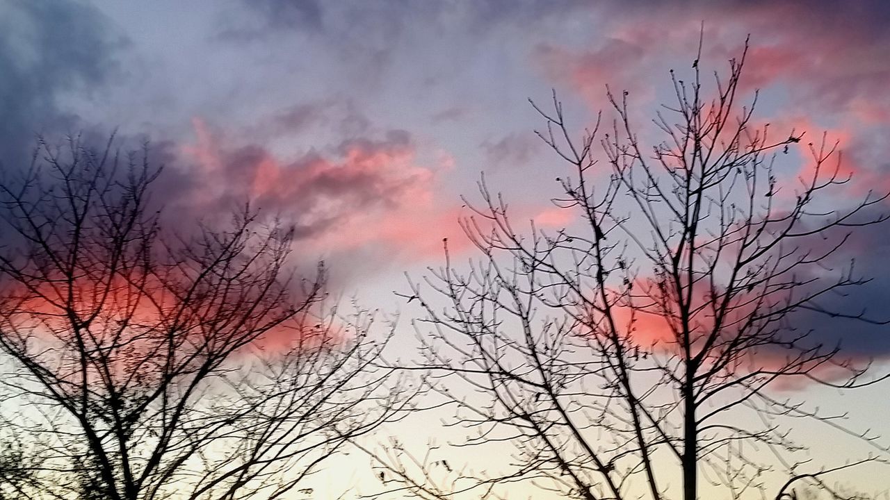 nature, tree, sunset, silhouette, red, dusk, sky, beauty in nature, cloud - sky, no people, outdoors, tranquility, close-up, day