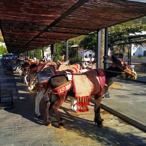 People in street market in city