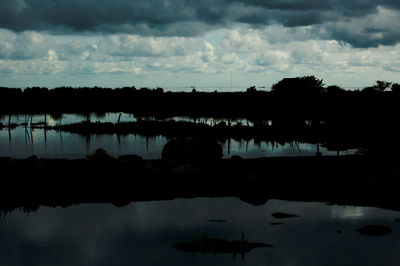 Reflection of trees in calm lake