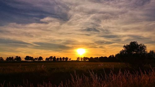 Scenic view of field against sky during sunset