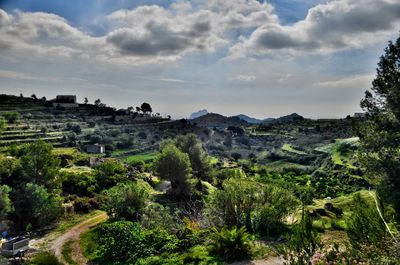 Scenic view of landscape against cloudy sky