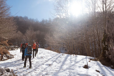 Rear view of people walking on snow covered land