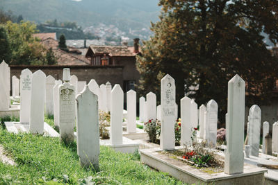 View of cemetery