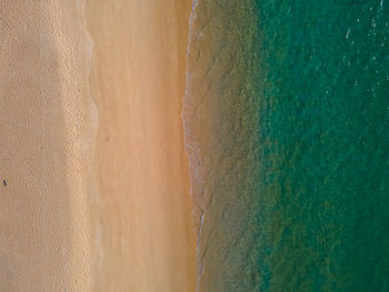 Scenic view of beach