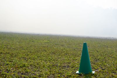 Scenic view of field against clear sky