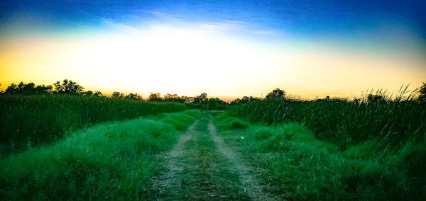 Scenic view of field against sky