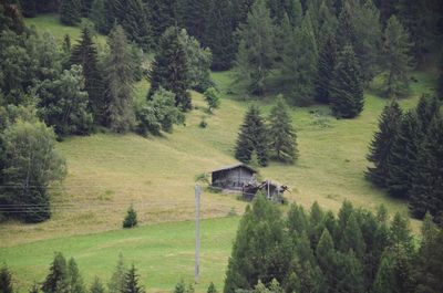 Scenic view of rural landscape