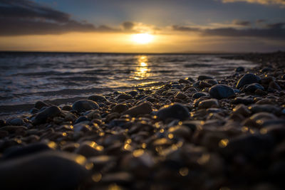 Scenic view of sea during sunset