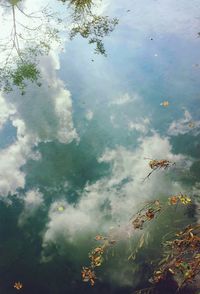 Reflection of cloudy sky on water