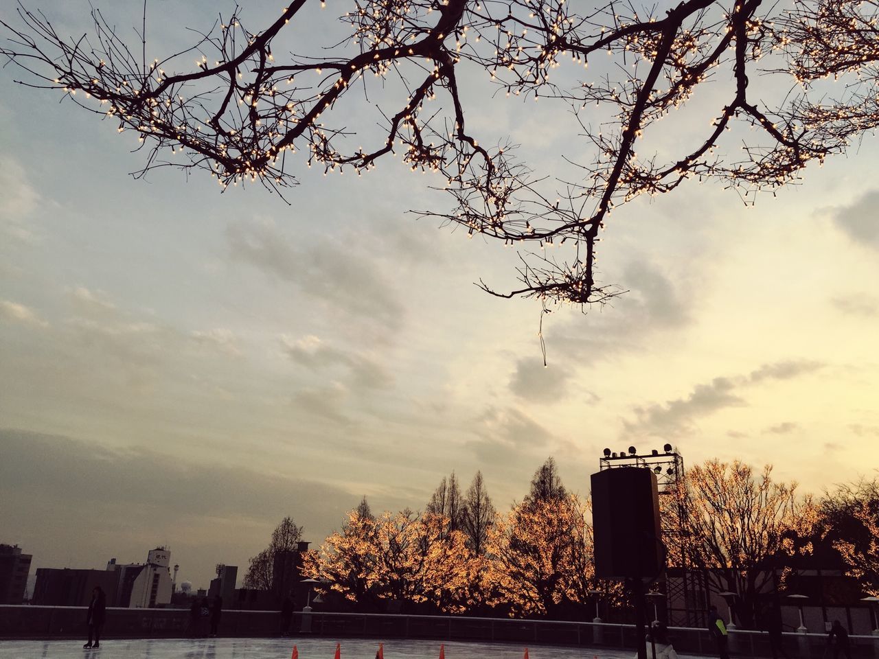 sky, tree, bare tree, cloud - sky, building exterior, built structure, low angle view, architecture, fence, silhouette, safety, sunset, guidance, cloud, branch, communication, nature, city, cloudy, protection