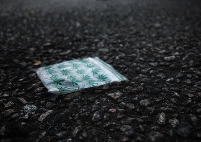 Close-up of leaf on road