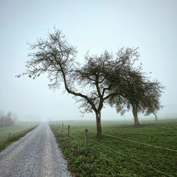 Road amidst trees on field against sky