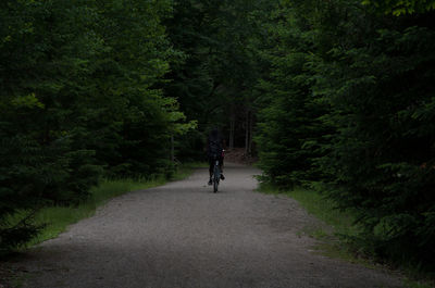 Person riding bicycle on footpath amidst trees