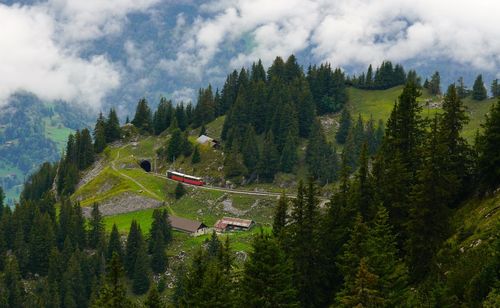 High angle view of trees on mountain against sky