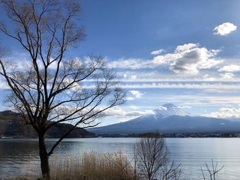 Bare tree by lake against sky during winter