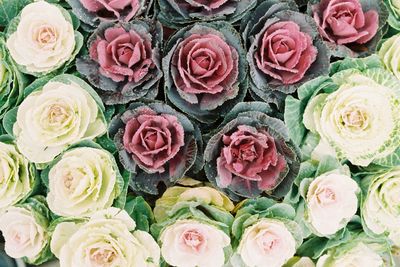 High angle view of roses bouquet