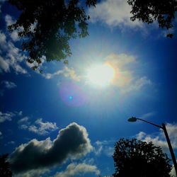 Low angle view of silhouette trees against blue sky