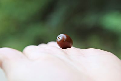 Close-up of human hand