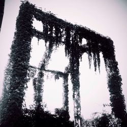 Low angle view of trees against sky