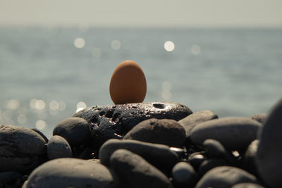 Close-up of stones and egg on beach