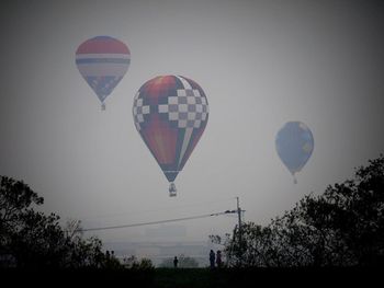 Low angle view of hot air balloons
