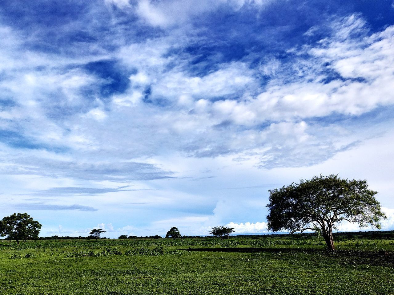 SCENIC VIEW OF LAND AGAINST SKY