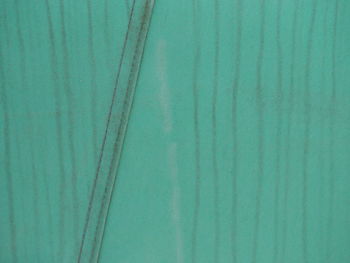 Close-up of green leaf