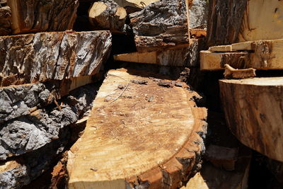 Close-up of logs in forest